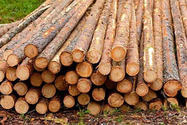 مشخصات چوب نراد